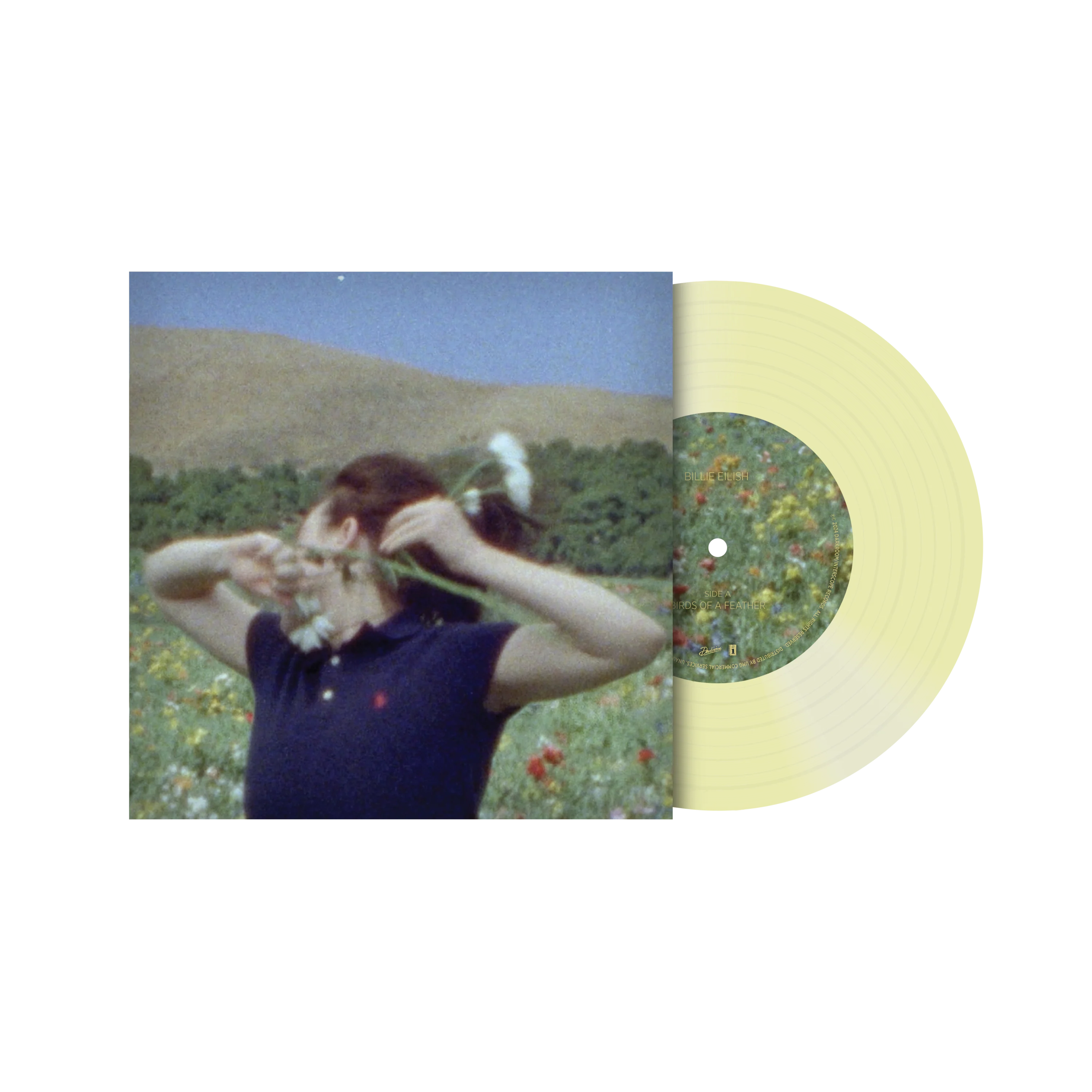Birds Of A Feather 7" Vinyl  [Translucent Green]