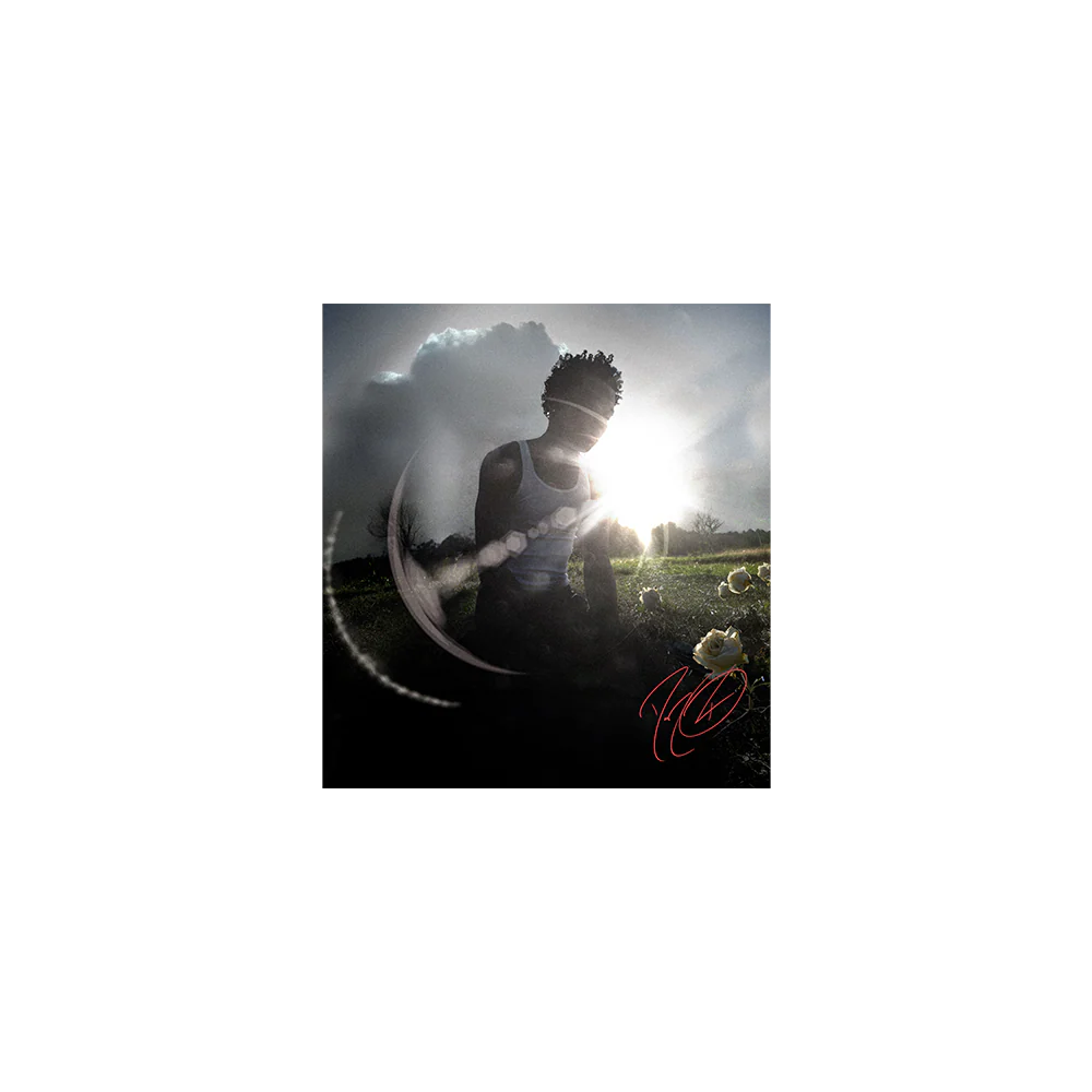 WITHERED - Image 3