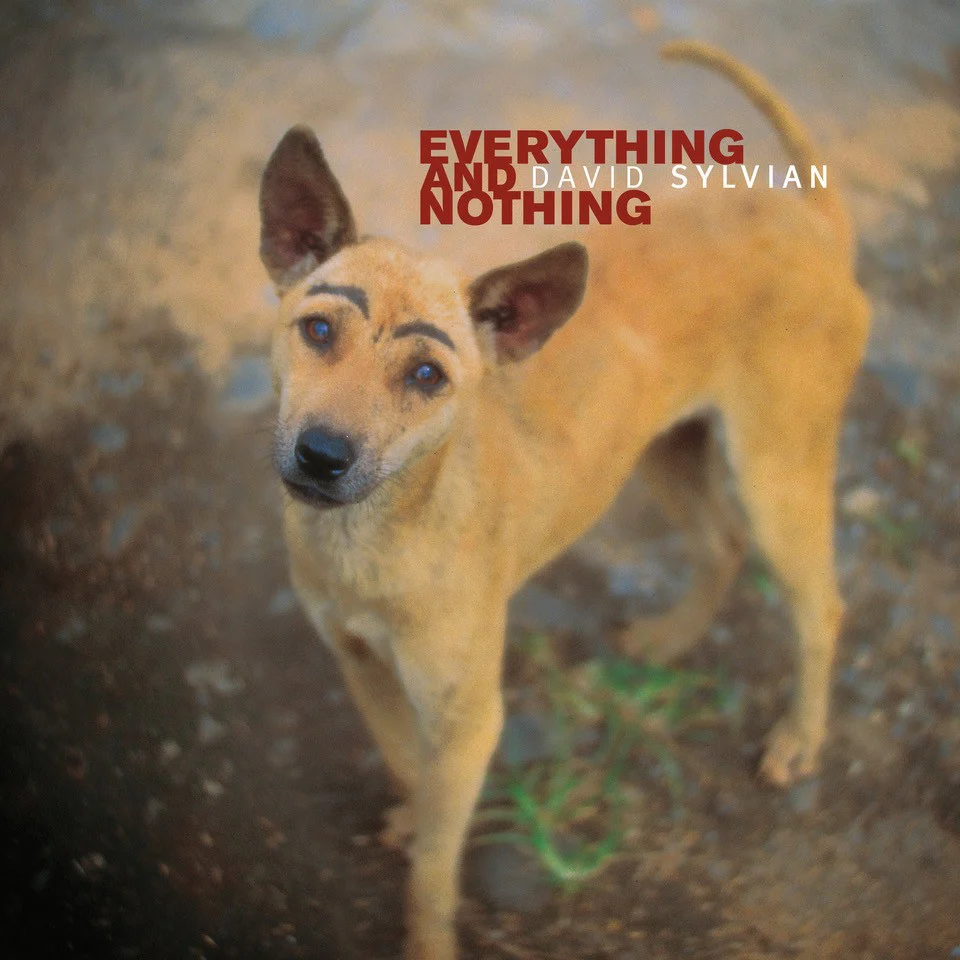 Everything & Nothing - Image 2