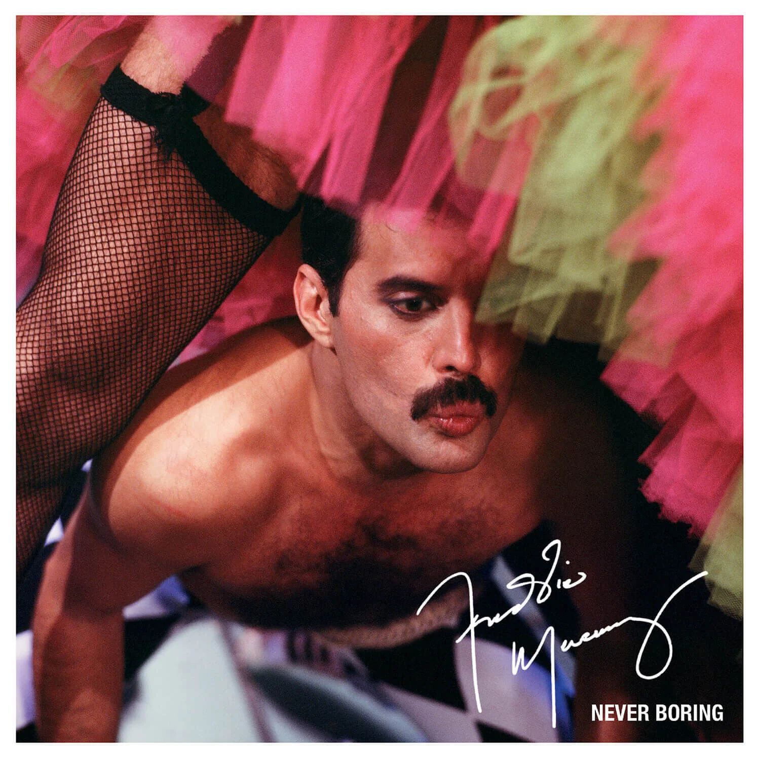 Never Boring - Image 2