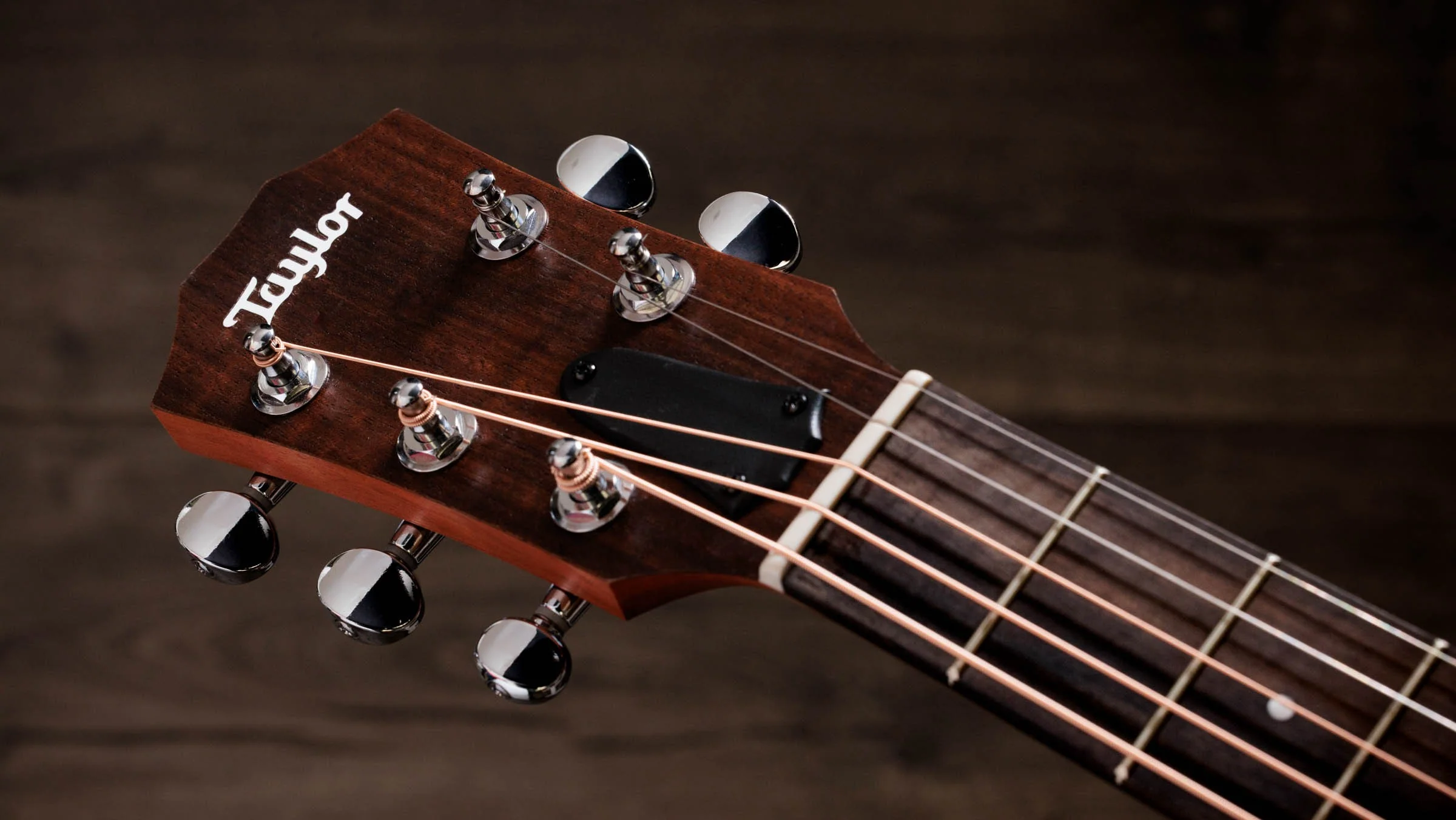 Jacob Collier GS Mini 5-String - Image 13