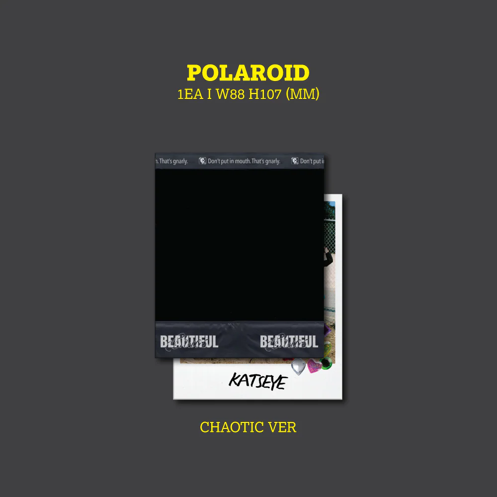 BEAUTIFUL CHAOS (Chaotic Ver.) - Image 7