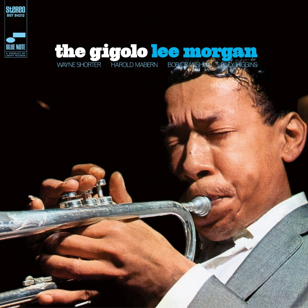 The Gigolo - Image 2
