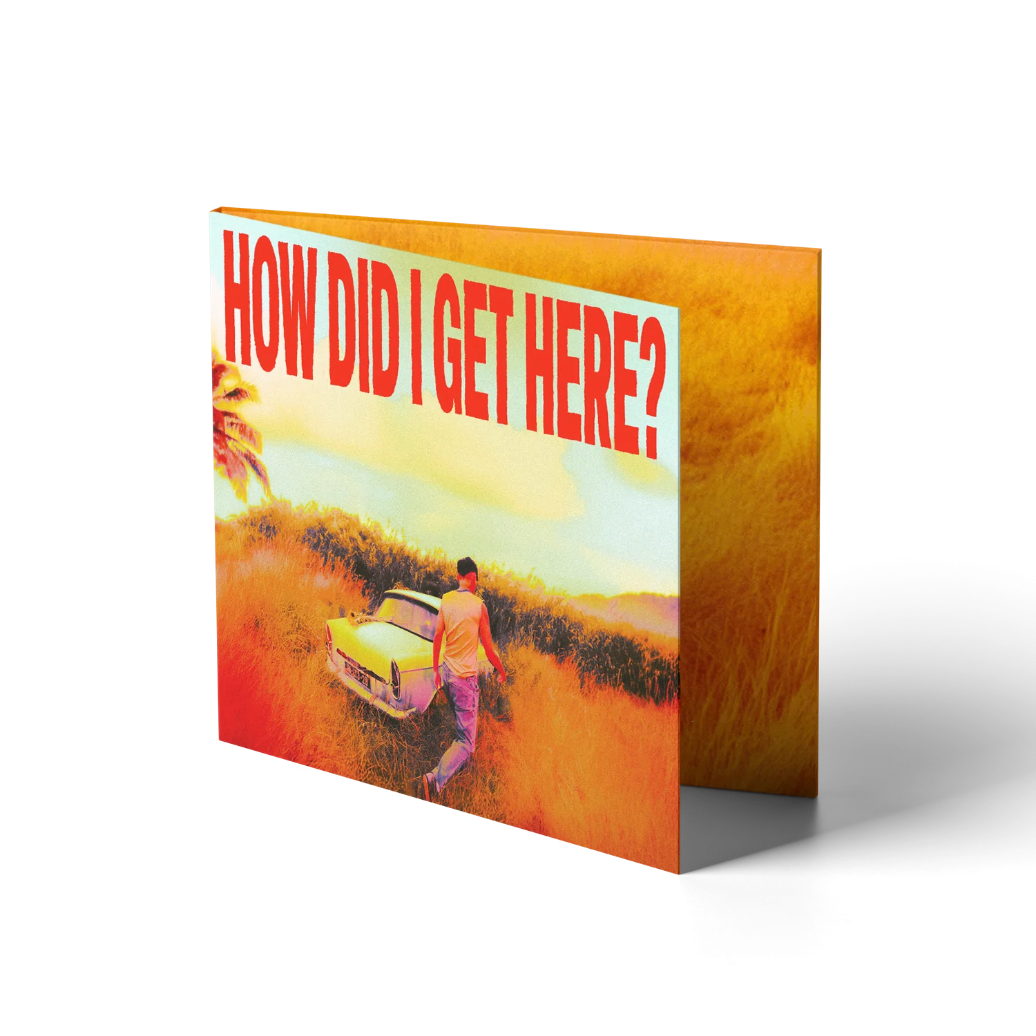 How Did I Get Here? - Image 2