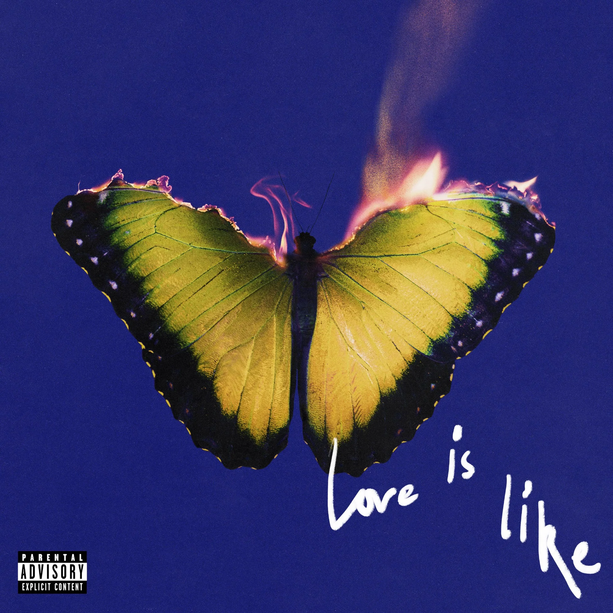 Love Is Like - Image 2