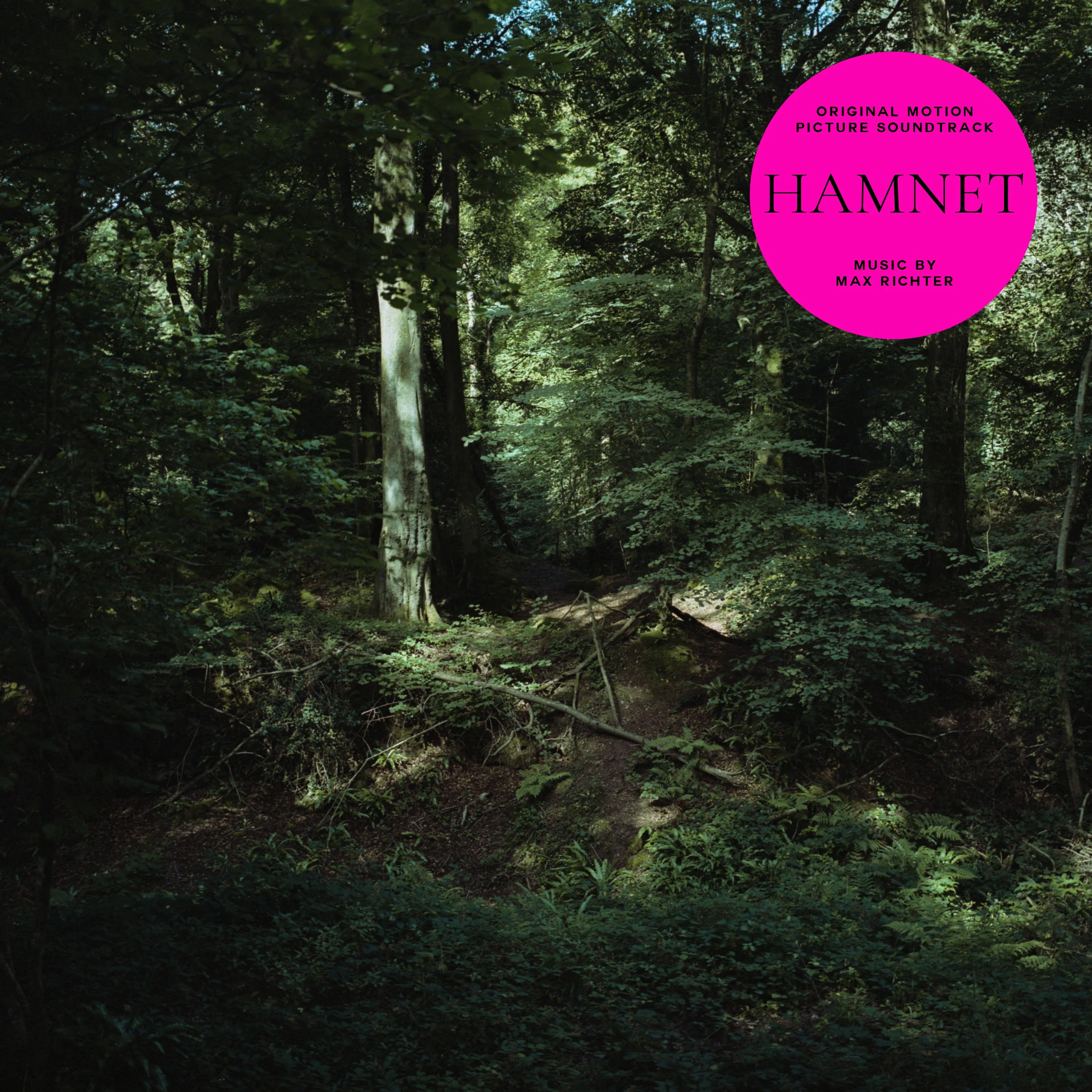 Hamnet - Image 2