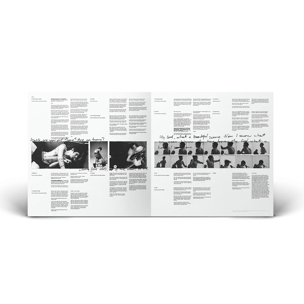 Idols Vinyl - Image 7