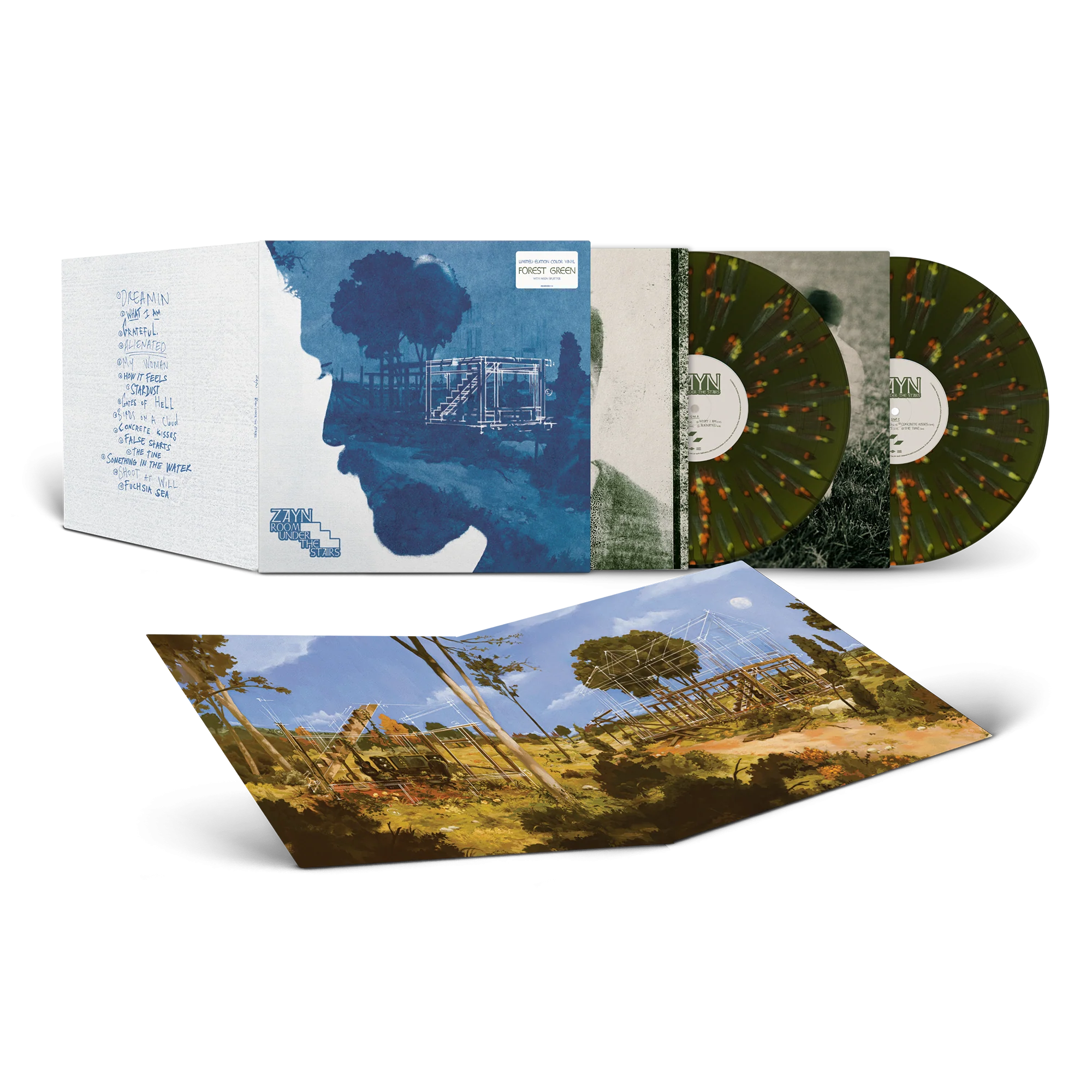 Room Under The Stairs 2LP